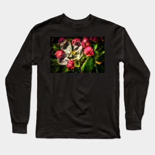 HDR Apple Blossom Long Sleeve T-Shirt